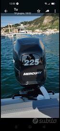 gommone panamera py80