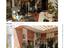 Immagine 7