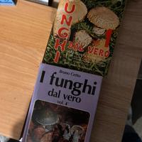 Libri funghi