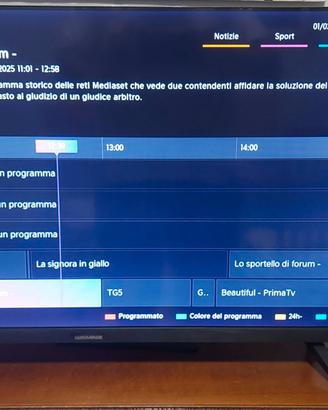 TV Nordmende 32 pollici ND32S304S Smart VIDAA
