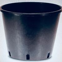 vaso vivaio 16x16 LT3