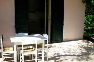 Tra mare e sogni nella natura Caprioli Palinuro