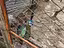 Immagine 3