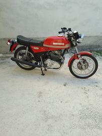 Ducati 350 Frontemarcia 1982