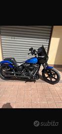 Harley street bob