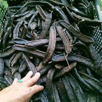 carrube naturali senza trattamenti