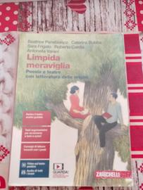 limpida meraviglia 