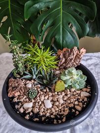 Terrario artigianale con piante vere – pezzo unico