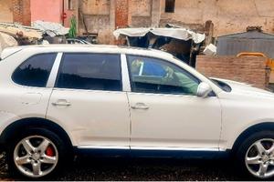 3.2  Cayenne permuta 