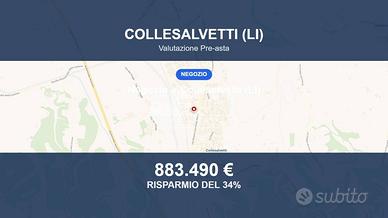 Immobile in asta di 1600 m² a Collesalvetti
