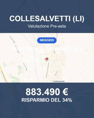 Immobile in asta di 1600 m² a Collesalvetti