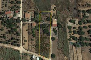 CIRICA Fabbricati rurali con terreno vista mare