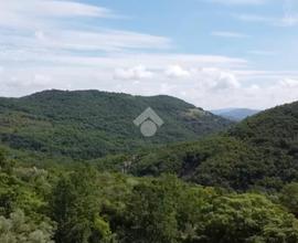 TER. AGRICOLO A PERUGIA