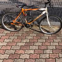 Bici Montain bike taglia 48