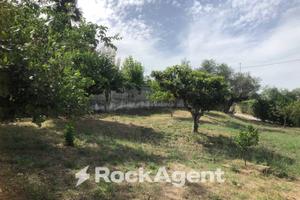 CASA SINGOLA A SPOLTORE