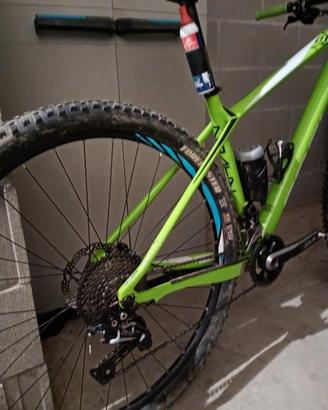 biciclette  mtb