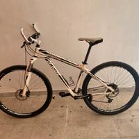 Bicicletta specialzed