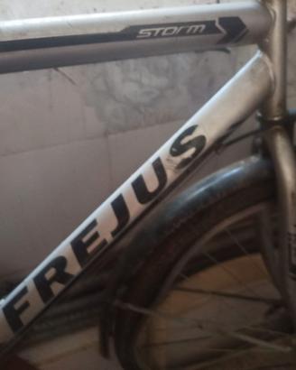 Bici uomo Frejus Storm