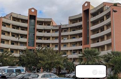 RGE 205/2024 Trib Salerno