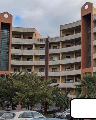 RGE 205/2024 Trib Salerno