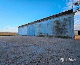 Grottaglie Azienda Agricola con abitazione