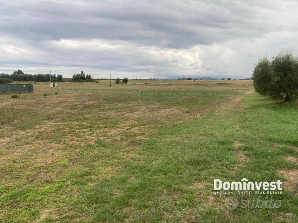 Terreno di 46000 m² a Capalbio - Vista 3