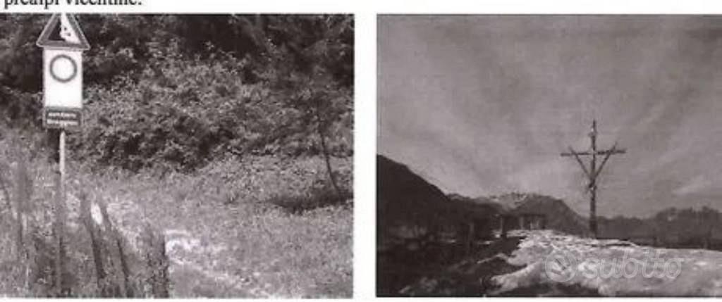 Immobile in asta di 19565 m² a Valdagno - Vista 2