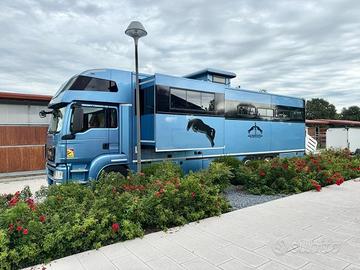 Van trasporto cavalli MAN
