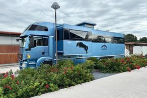 Van trasporto cavalli MAN