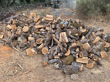 Legna da ardere consegna gratuita