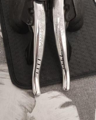 Leve campagnolo
