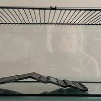 Acquaterrario per tartarughe d’acqua