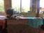 Immagine 12