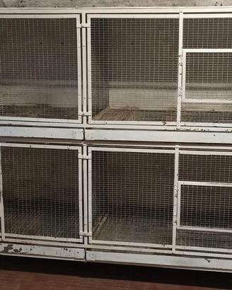 Voliera per uccelli