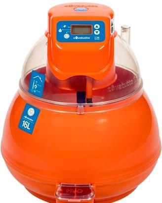 incubatrice novital 16L pro