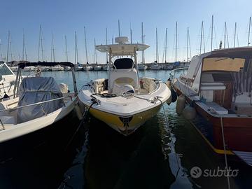 Boston Whaler Outrage 320
