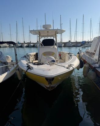 Boston Whaler Outrage 320