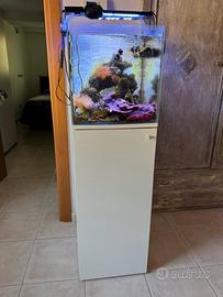 Acquario marino