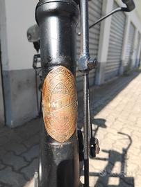 bicicletta da donna vintage 