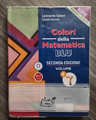 Colori della matematica blu - volume 4 gamma