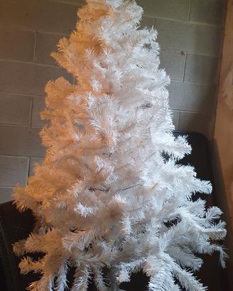 albero