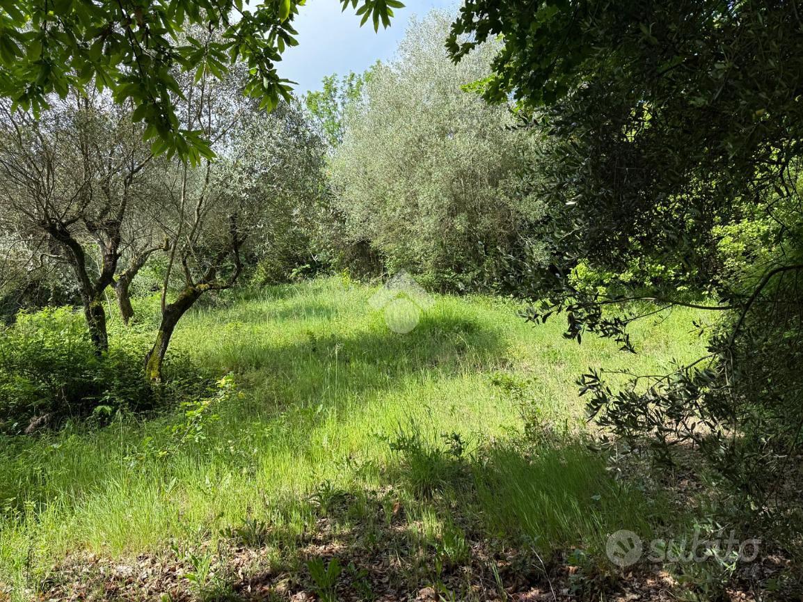 TER. AGRICOLO A ARTENA - Vista 2