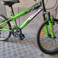 Bici MTB Kawasaki 
