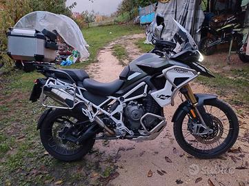 Triumph rally pro 1200