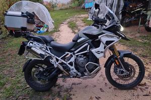 Triumph rally pro 1200