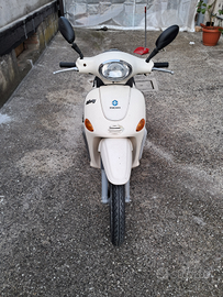 Liberty quattrotempi