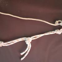 attacco bici per cani 