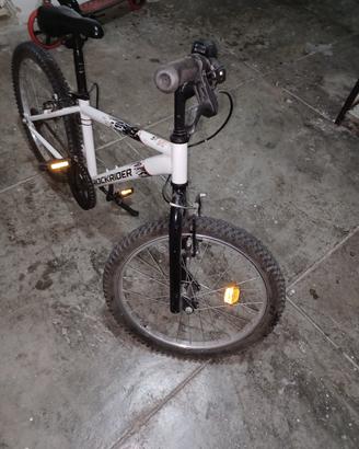 bici 🚲 e mono pattini 