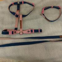 Pettorina, collare e guinzaglio