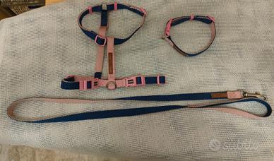 Pettorina, collare e guinzaglio